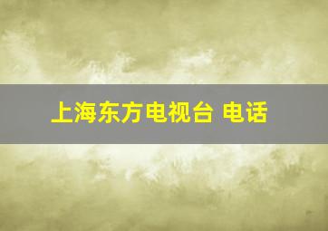 上海东方电视台 电话